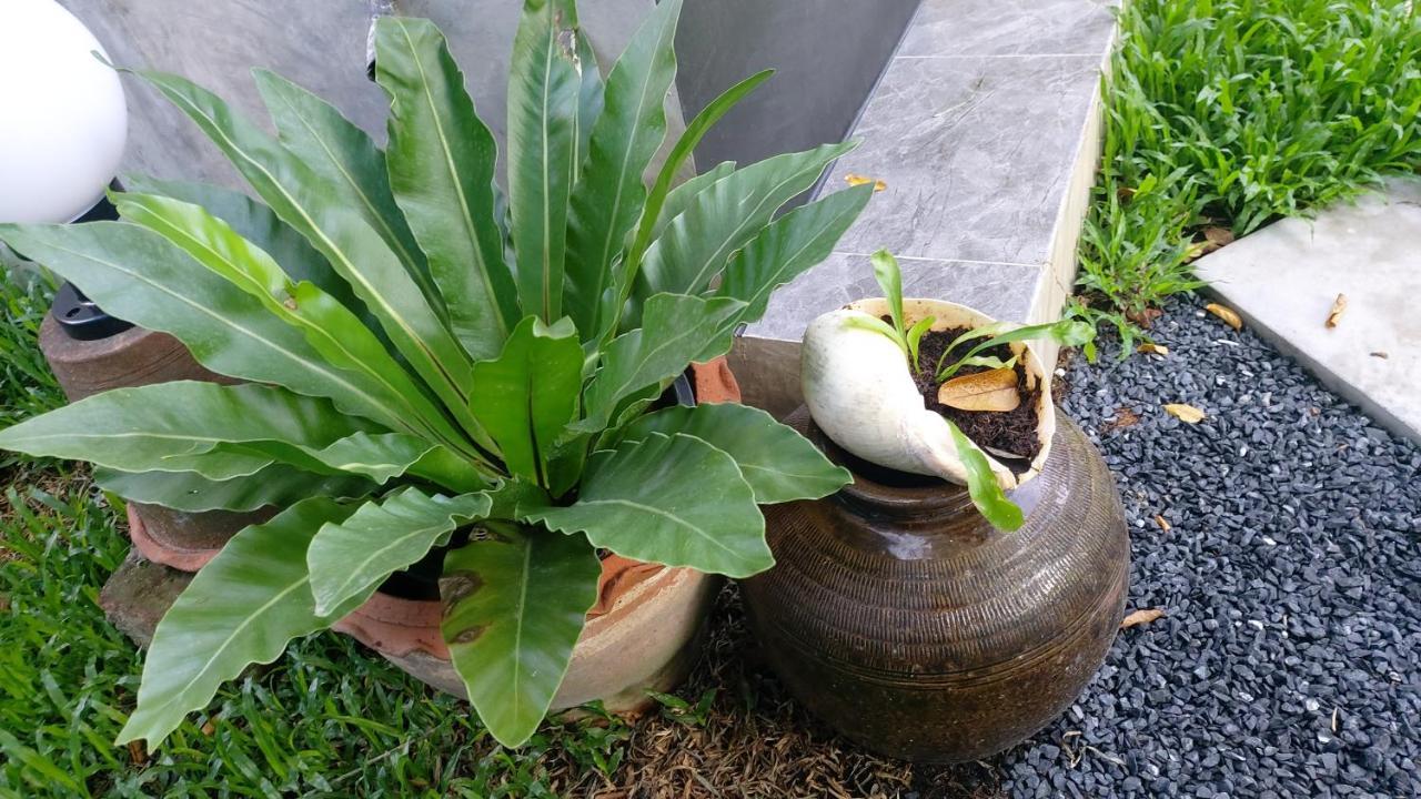Marin' S Home Thalang Dış mekan fotoğraf
